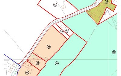 Boundary Survey